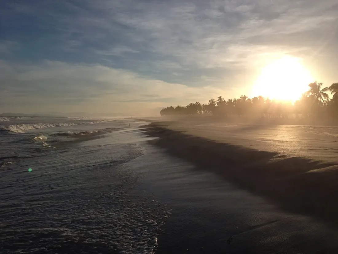 Spiaggia nei pressi di Salalah, con palme e onde nella luce dorata del sole.