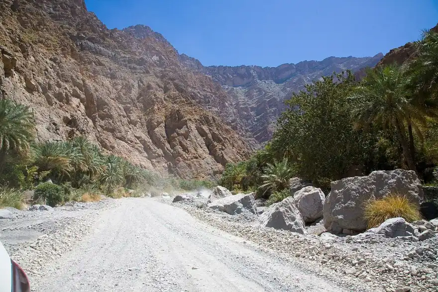 Pista sterrata tra le alte pareti rocciose e le palme del Wadi Bani Awf.